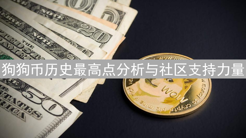 狗狗币历史最高点分析与社区支持力量