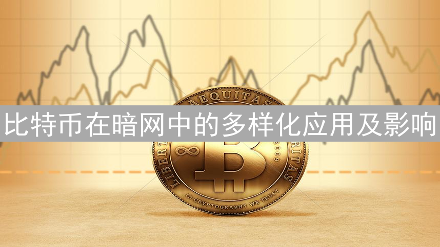 比特币在暗网中的多样化应用及影响