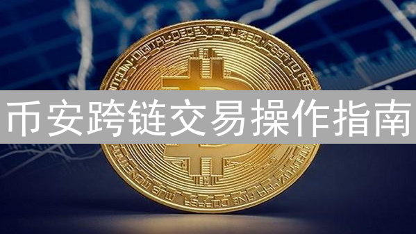 币安跨链交易操作指南