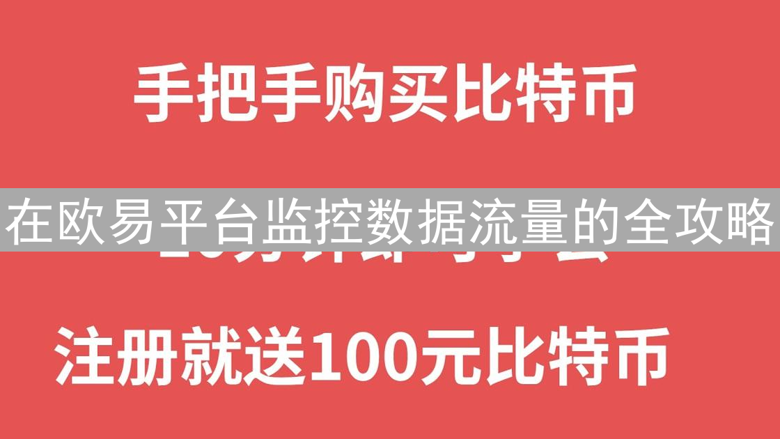在欧易平台监控数据流量的全攻略