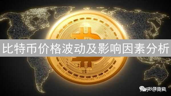 比特币价格波动及影响因素分析
