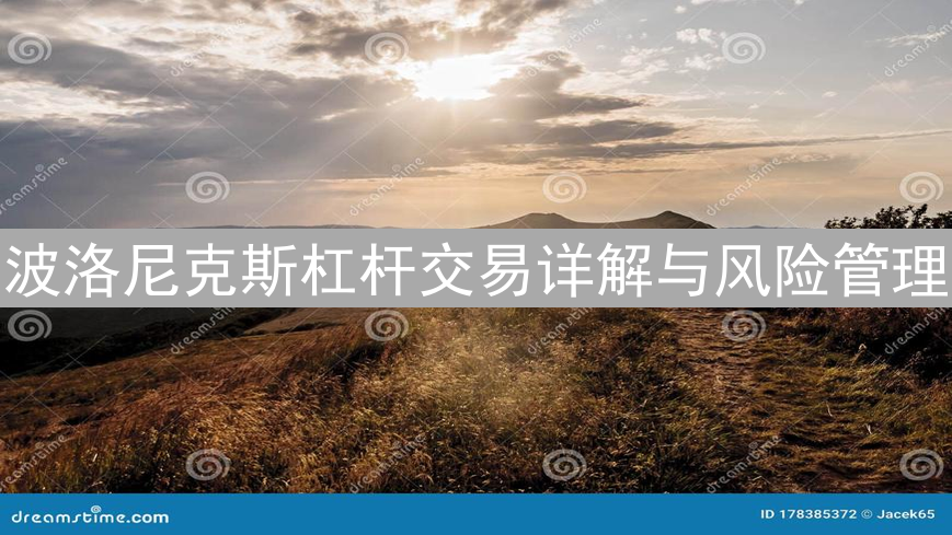 波洛尼克斯杠杆交易详解与风险管理