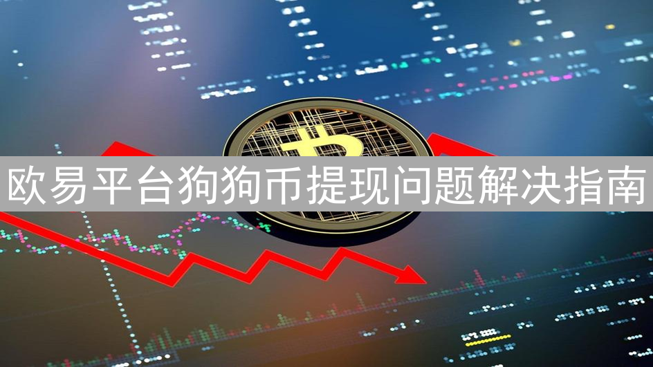 欧易平台狗狗币提现问题解决指南