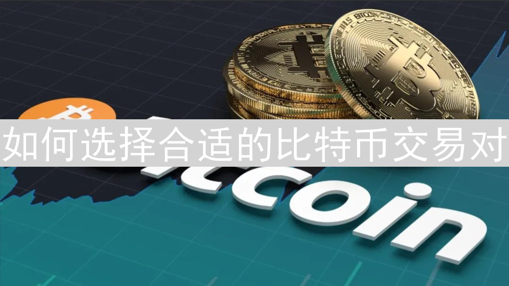 如何选择合适的比特币交易对：策略与技巧分析