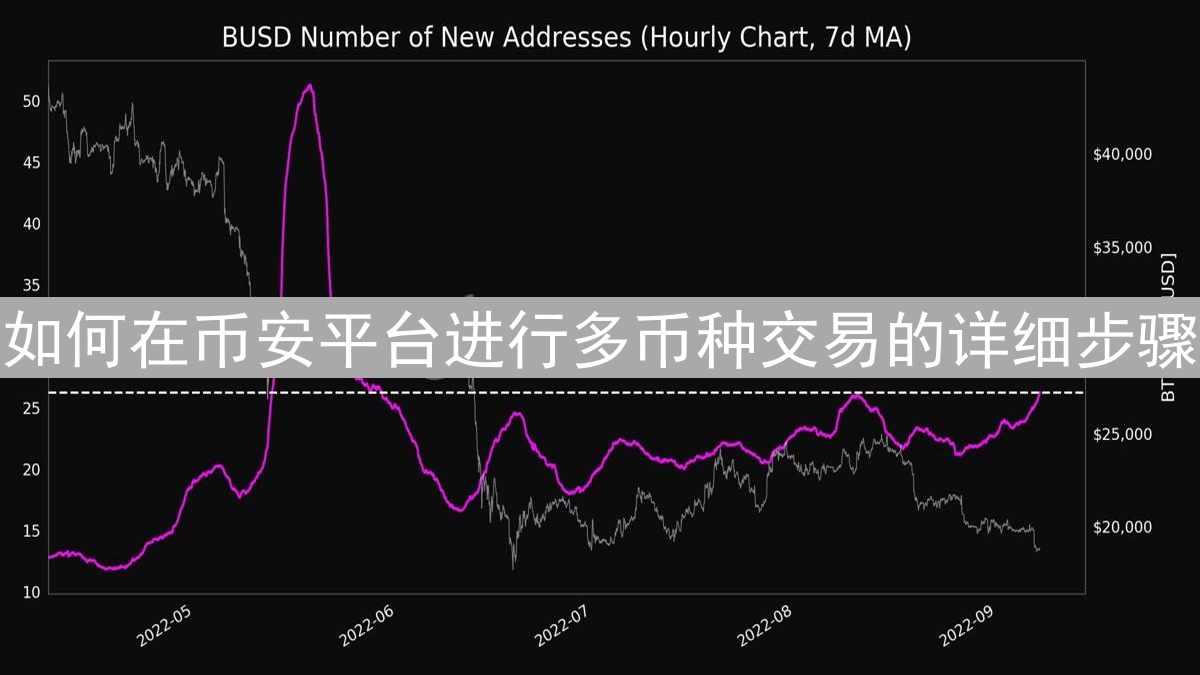 如何在币安平台进行多币种交易的详细步骤