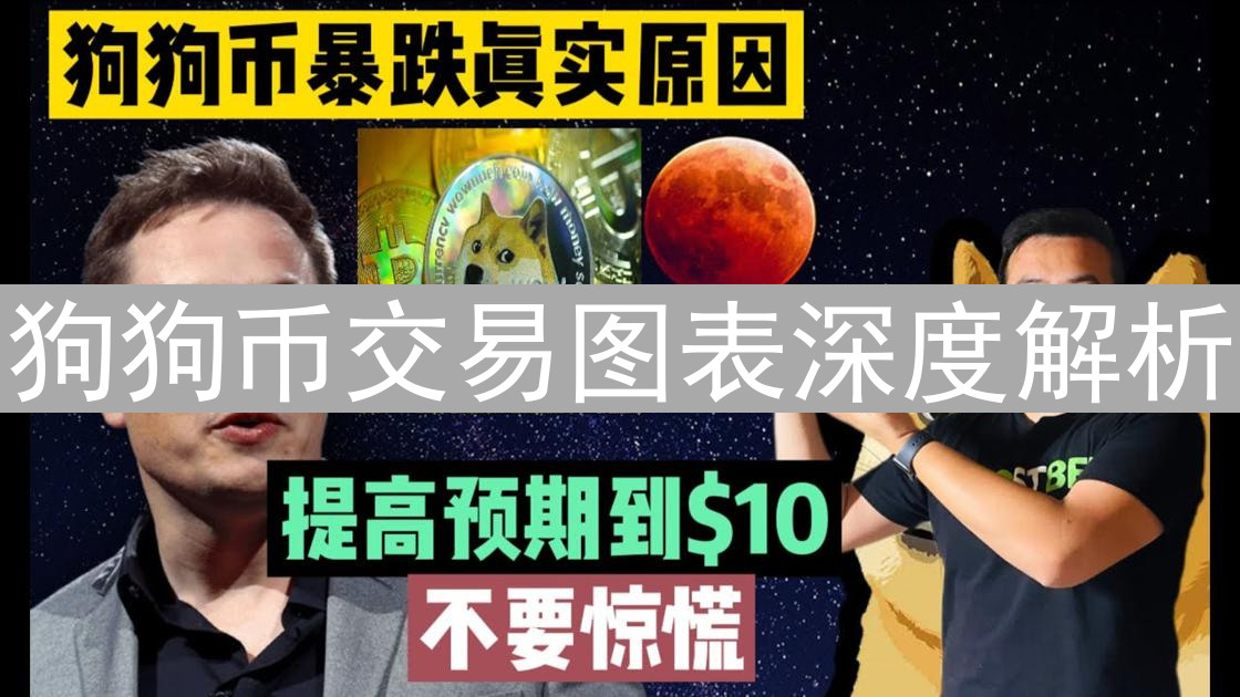 狗狗币交易图表深度解析：掌握技巧，驾驭狂潮