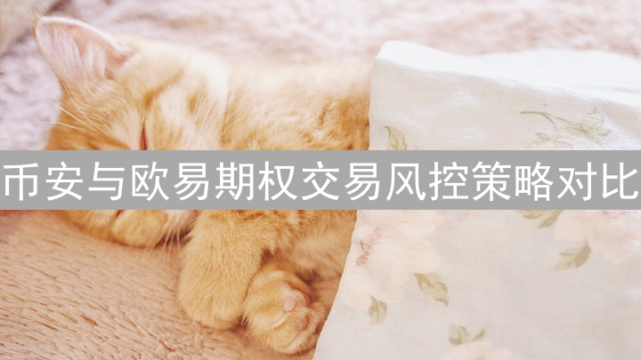 币安与欧易期权交易风控策略对比：核心风险与应对方案