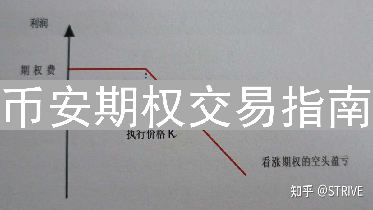 币安期权交易指南：新手入门与交易策略详解