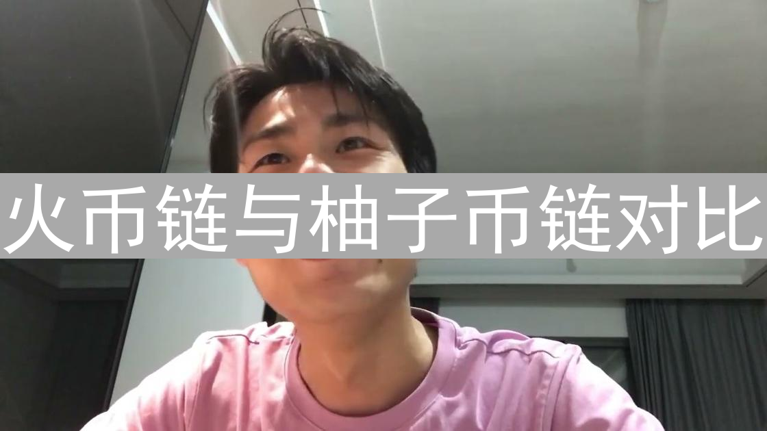 火币链与柚子币链对比：技术、生态与侧重点分析