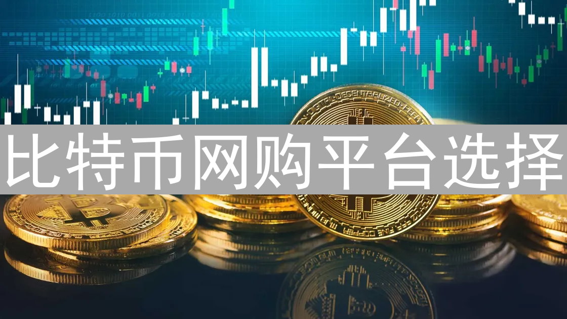 比特币网购平台选择：多样性、考量与中心化/去中心化交易所对比