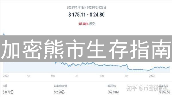 加密熊市生存指南：风险管理的艺术与投资策略