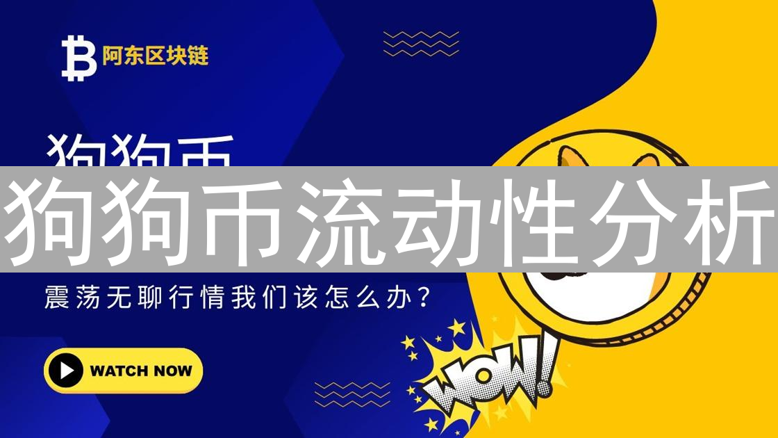 狗狗币流动性分析：迷因之船的乘风破浪之旅