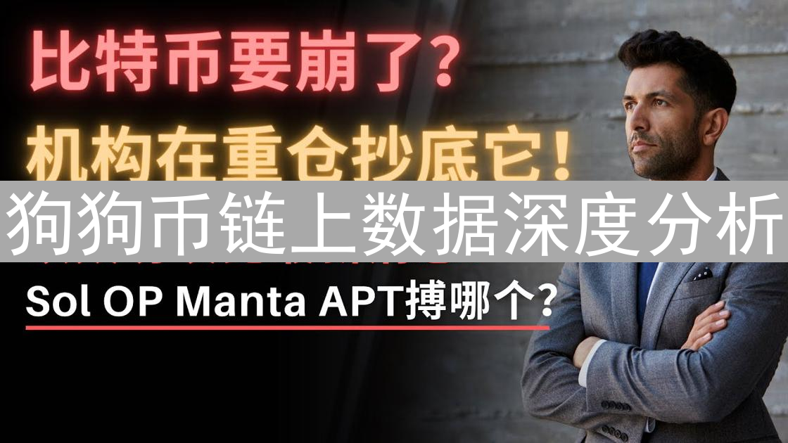 狗狗币链上数据深度分析：迷因币背后的价值发现