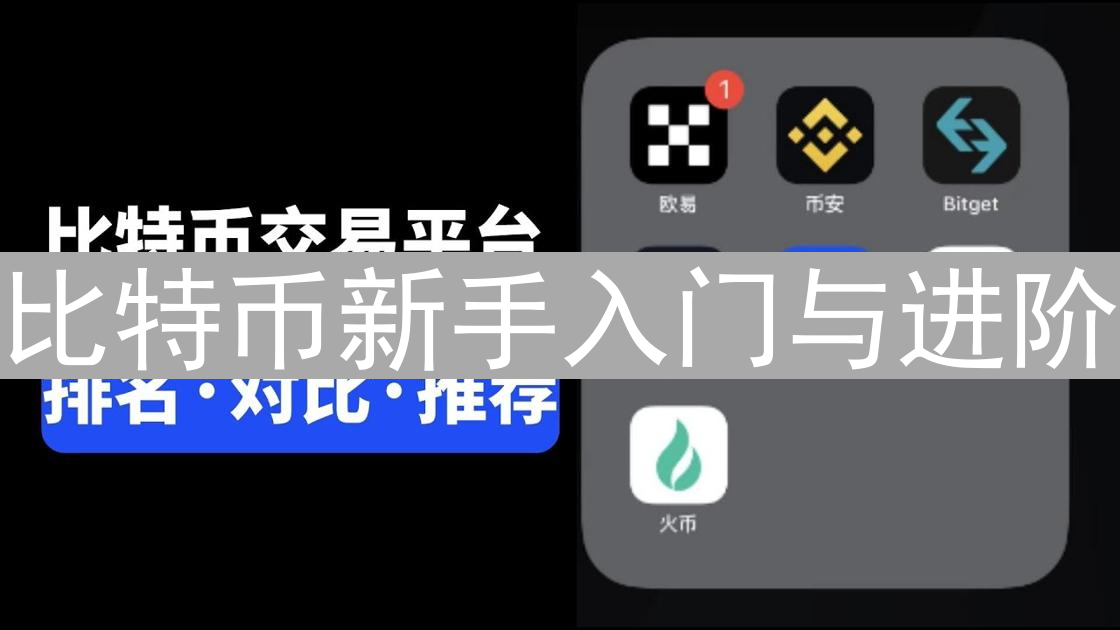 比特币新手入门与进阶：优质书籍阅读指南