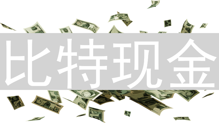 比特现金：去中心化的金融协奏曲，赋能自由与权力