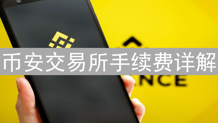 币安交易所手续费详解：精打细算降低交易成本的秘诀