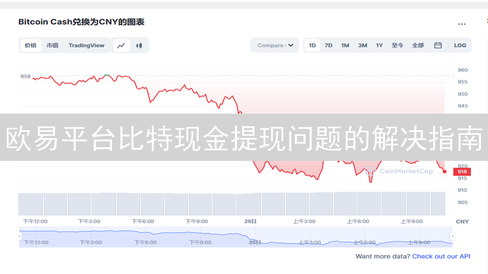 欧易平台比特现金提现问题的解决指南