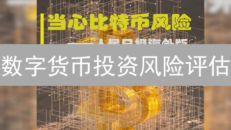 数字货币投资风险评估：波动性与监管因素分析