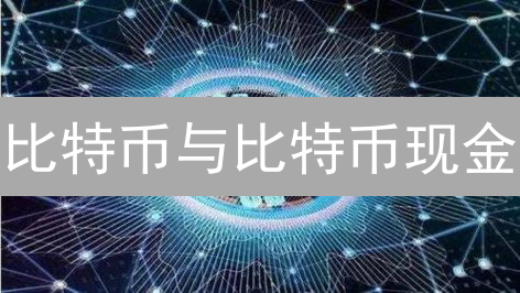 比特币与比特币现金：硬分叉引发的思考
