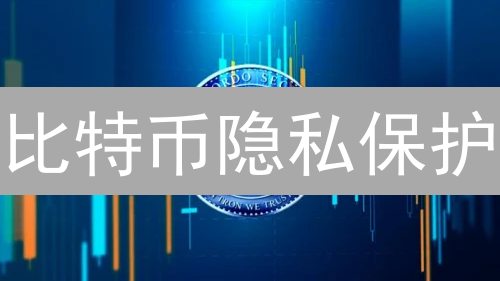比特币隐私保护：抽丝剥茧还原真相，策略与技巧解析