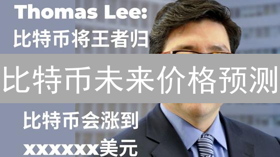 比特币未来价格预测：迷雾中的数字货币航行