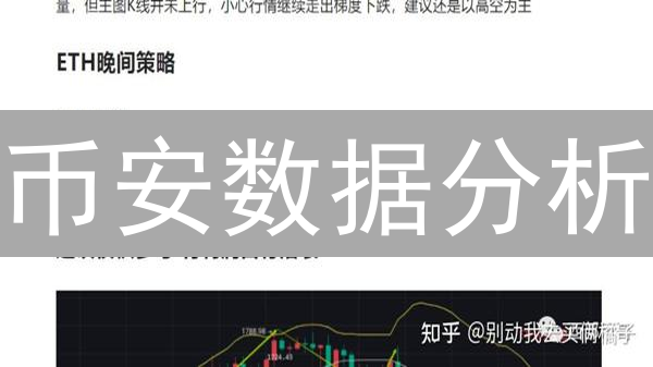 币安数据分析：解锁加密货币交易策略的秘密武器