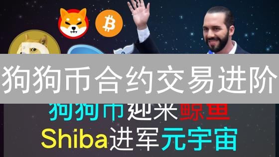 狗狗币合约交易进阶：技巧分享与风险控制
