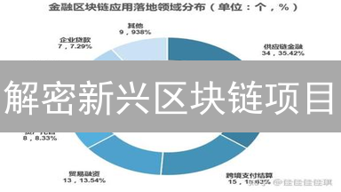 解密新兴区块链项目：投资策略与风险规避指南