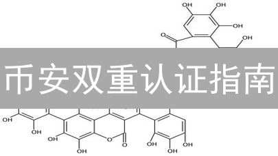 币安双重认证指南：安全升级，守护您的加密资产
