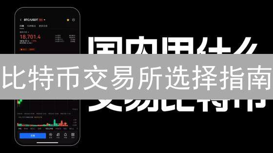 比特币交易所选择指南：安全、手续费与用户体验对比