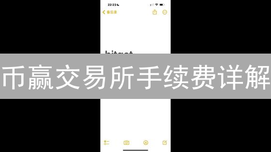 币赢交易所手续费详解：交易成本优化指南