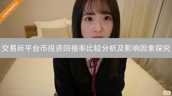交易所平台币投资回报率比较分析及影响因素探究
