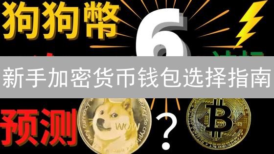 新手加密货币钱包选择指南：安全便捷入门
