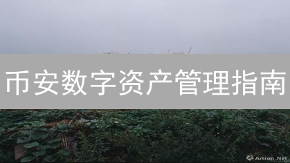 币安数字资产管理指南：新手入门与生态系统解析