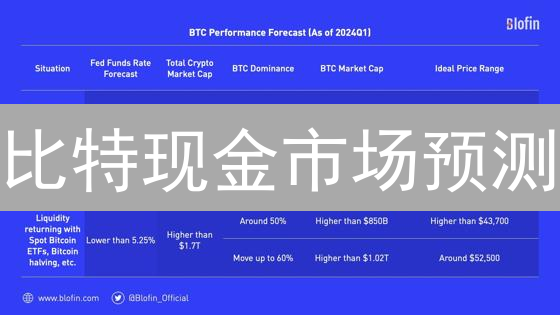 比特现金市场预测：优势、挑战与未来展望