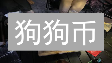 狗狗币：从模因到主流的加密货币逆袭之路