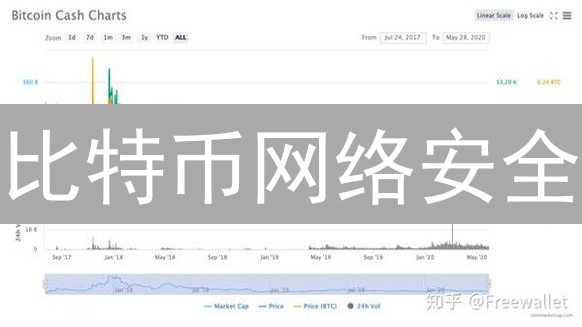 比特币网络安全：权力与信任的博弈分析