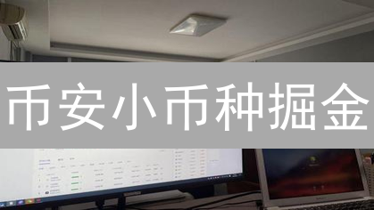 币安小币种掘金：高收益与高风险并存的投资策略分析