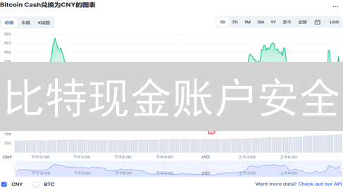 比特现金账户安全：详尽设置指南与风险防范
