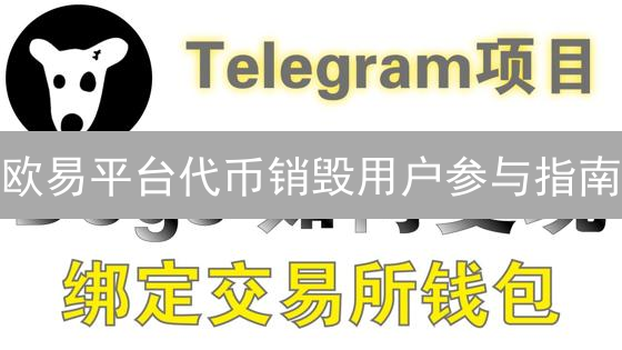 欧易平台代币销毁用户参与指南：策略、利弊与注意事项