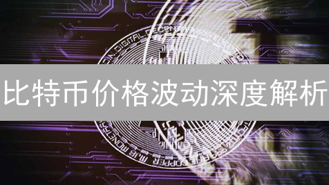 比特币价格波动深度解析：因素、数据与风险管理