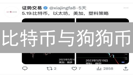 比特币与狗狗币：对比分析与未来趋势深度解读