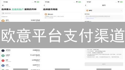 欧意平台支付渠道：多元选择与深度解析