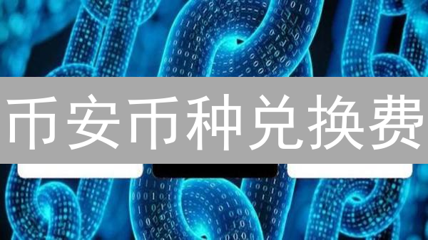 币安币种兑换费：成本考量与影响因素深度解析