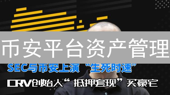 币安平台资产管理：构建加密货币投资组合策略
