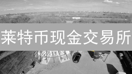 莱特币现金交易所：机遇、挑战与用户考量