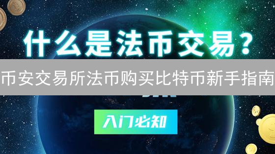 币安交易所法币购买比特币新手指南：详细步骤解析