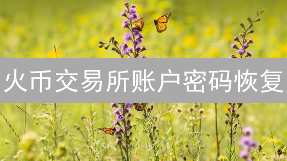 火币交易所账户密码恢复：步骤与注意事项