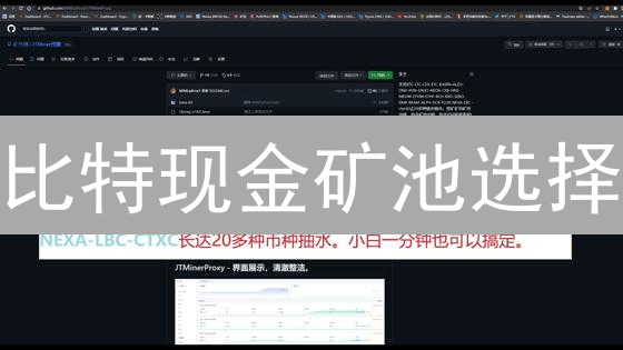 比特现金矿池选择：费用、规模、支付方式等关键因素分析