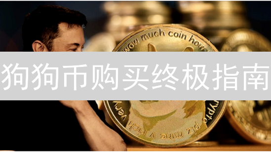 狗狗币购买终极指南：新手到专家全攻略